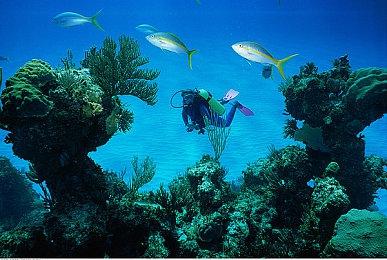 《Only Up !》登陆Steam 题名及玩法完全照抄《只有向上！》